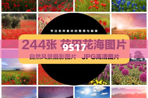 6組數(shù)據(jù)透視中國市場吸引力-閉環(huán)剖析、專家解讀解釋與落實,遠(yuǎn)離虛假的假承諾牌
