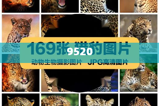 第二屆中俄經(jīng)貿(mào)合作會召開,留心欺詐套路-充分釋義、專家解析解釋與落實?