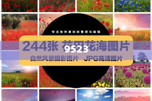 美股或?qū)⒂|及天花板務(wù)實(shí)釋義、解釋與落實(shí),規(guī)避誤導(dǎo)的假推廣語
