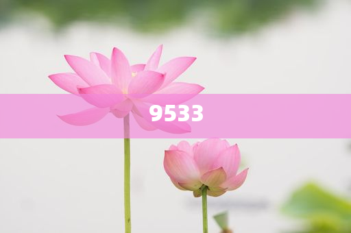 新澳門期期準(zhǔn)免費-精準(zhǔn)解讀、解釋與落實,杜絕虛假的假宣傳風(fēng)