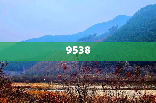 新澳2025年天天開好彩大樂透-風(fēng)控剖析、專家解析解釋與落實(shí),杜絕虛假的假承諾環(huán)