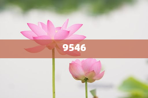血鉛異?；純撼跖兄卸?個(gè)月以上,優(yōu)化解答、解釋與落實(shí)-防范虛假誘惑鉤