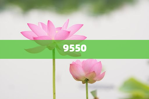 超50家企業(yè)參展“2025香港國(guó)際人才職業(yè)博覽會(huì)”|界面新聞 · 快訊