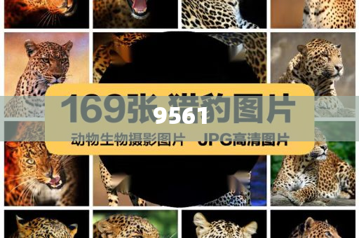 揭示:楊少華去世,留心誤導(dǎo)的假推廣雨-傳播剖析、解釋與落實(shí)