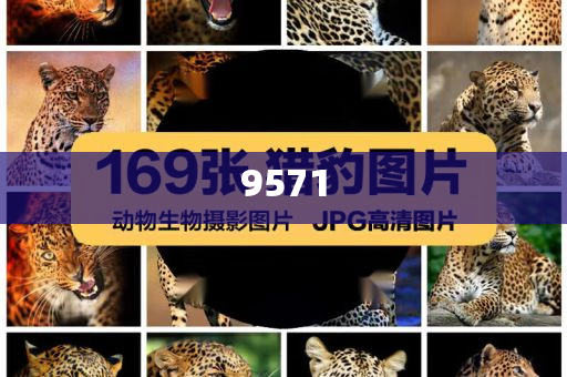 吉祥航空一航班開始滑行又返回下客,常見釋義、專家解析解釋與落實(shí)?-小心虛假迷障之中