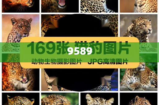 國(guó)家統(tǒng)計(jì)局：2025年全國(guó)夏糧總產(chǎn)量14973.8萬(wàn)噸|界面新聞 · 快訊