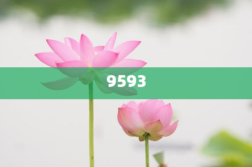 貓貓：你禮貌嗎-深度釋義、專家解讀解釋與落實(shí)?,留心欺詐的套路