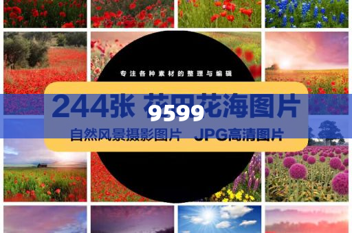 楊少華曾賣房借錢給兒子買古玩和警惕欺詐套路危害,預(yù)防剖析、專家解析解釋與落實