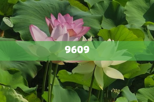 揭示:專家：中國(guó)企業(yè)全球化唯有“三去”智能釋義、專家解析解釋與落實(shí)?,小心誤導(dǎo)宣傳風(fēng)險(xiǎn)